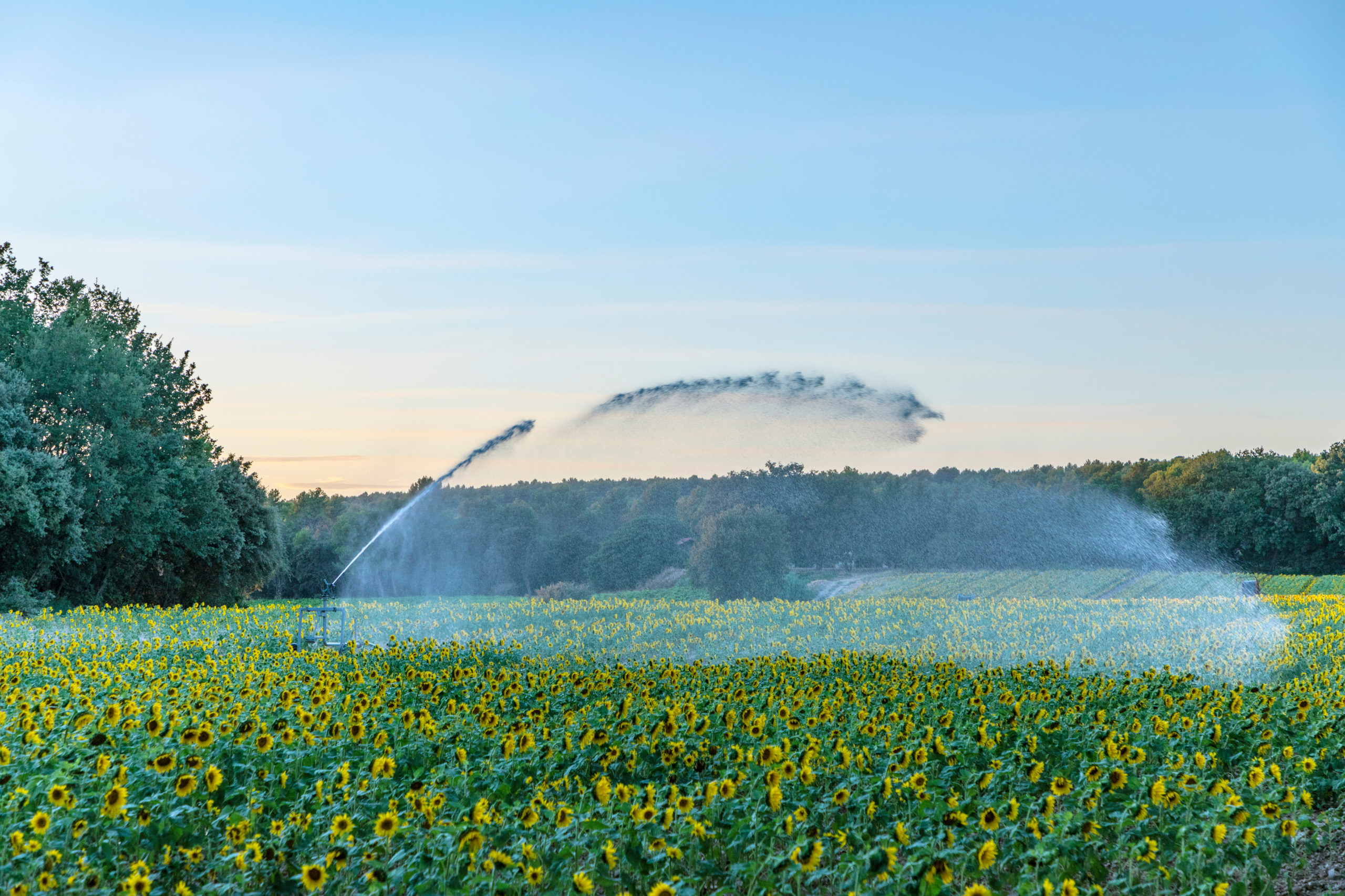 image de l'article Nouvelles modalités d’usage de l’eau