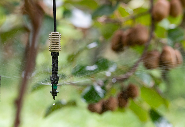 Sur cette photo, on voit un matériel d'irrigation durable de type micro-aspersion vendu par Rives & Eaux du Sud-Ouest - Bureau d'étude hydraulique