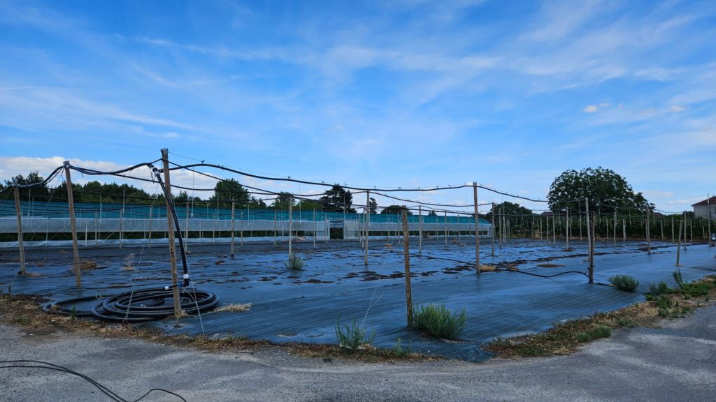 Visite délégation Nouvelle-Aquitaine sur le système Neste géré par Rives & Eaux